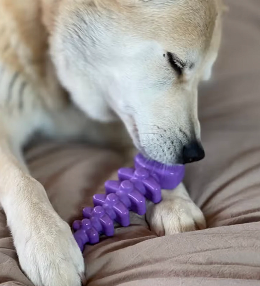 SodaPup Fishbone for Aggressive Chewers