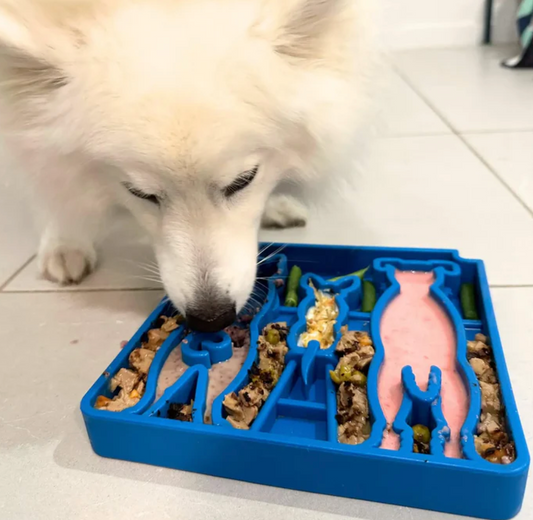 SodaPup Waiting Dogs Slow Feeder