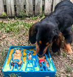 SodaPup Waiting Dogs Slow Feeder Tray - Dogs Go Shop
