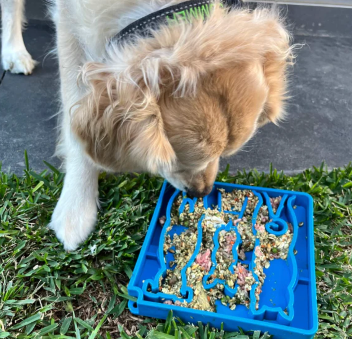 SodaPup Waiting Dogs Slow Feeder Tray - Dogs Go Shop