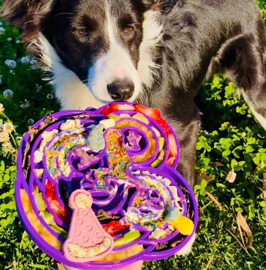 SodaPup Waterfrog Slow Feeder