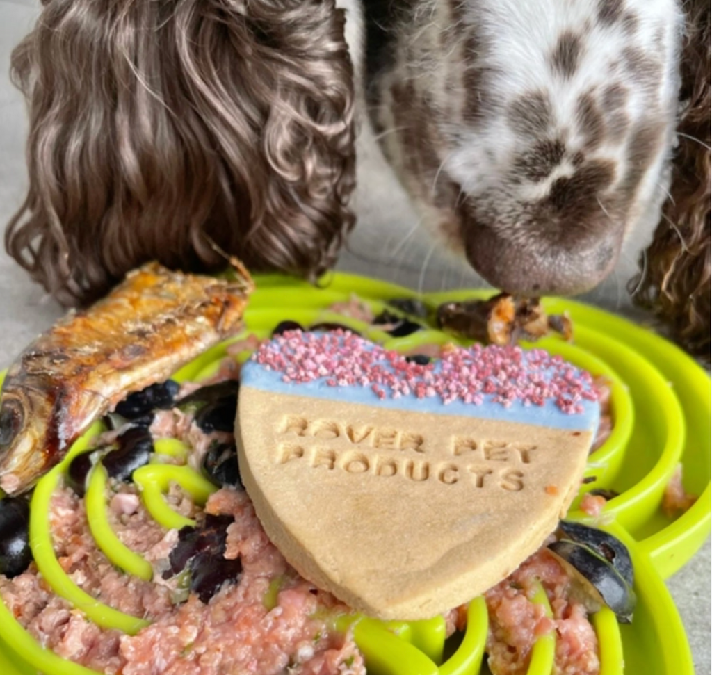 SodaPup Waterfrog Slow Feeder Lick Mat - Dogs Go Shop