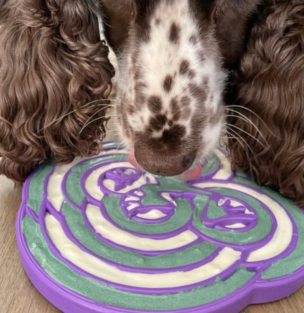 SodaPup Waterfrog Slow Feeder Lick Mat - Dogs Go Shop