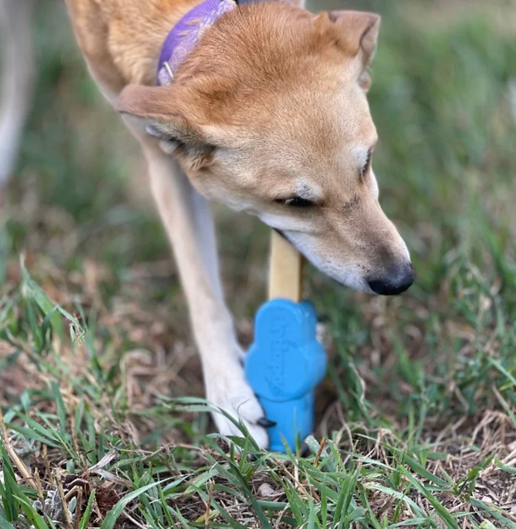SodaPup Pez Yak Holder
