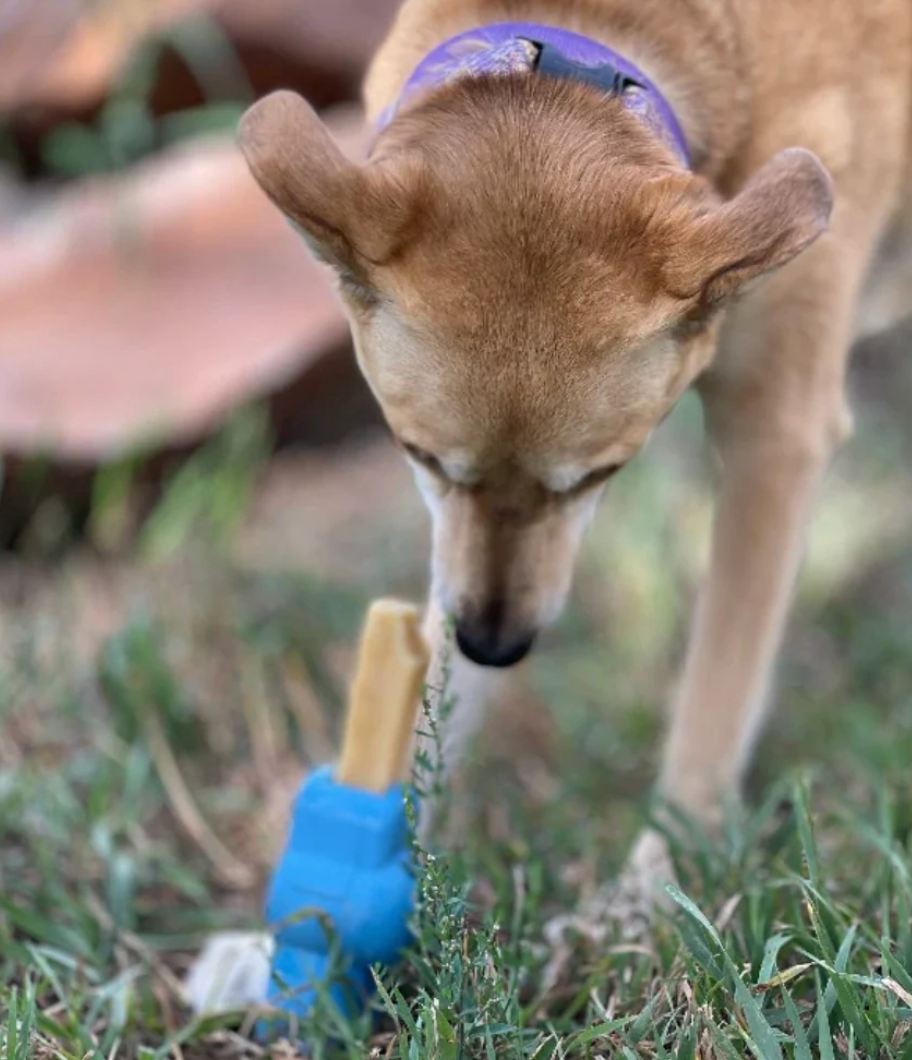 SodaPup Pez Yak Holder