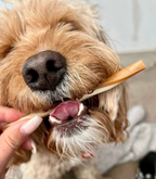 Vegetarian Bundle Box - Dogs Go Shop Natural Dog Chews - Grain & Gluten Free