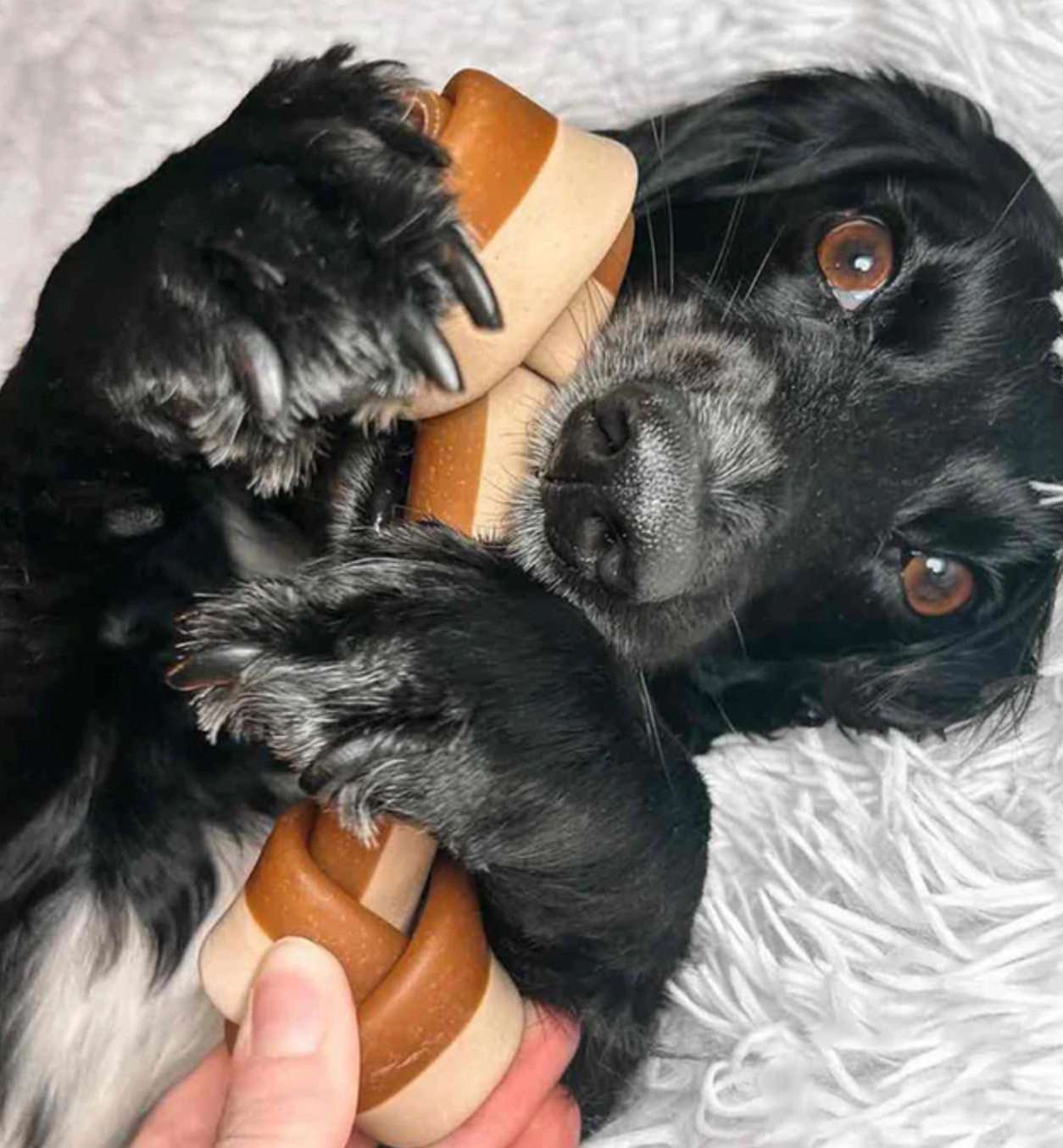 Vegetarian Bundle Box