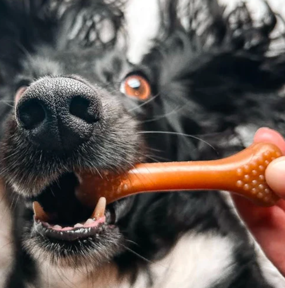 Vegetarian Bundle Box