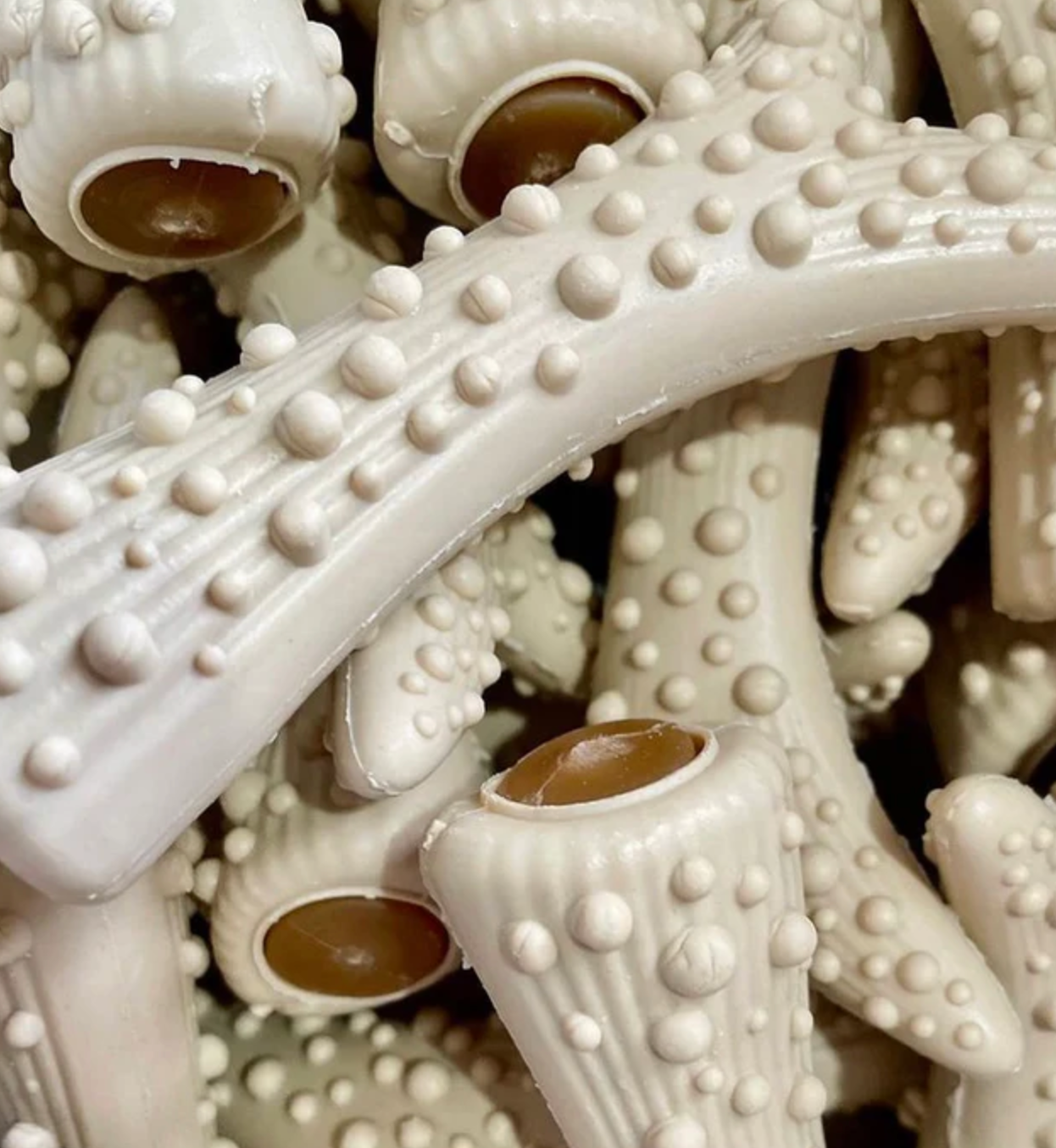 Vegetarian Bundle Box