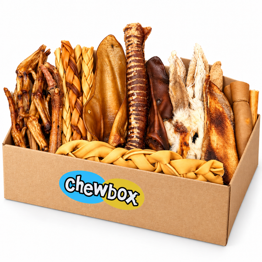 Dental Chewbox