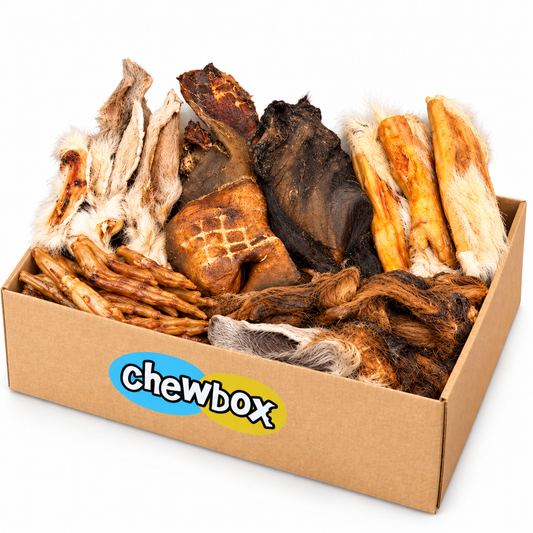 Fur & Fibre Chewbox