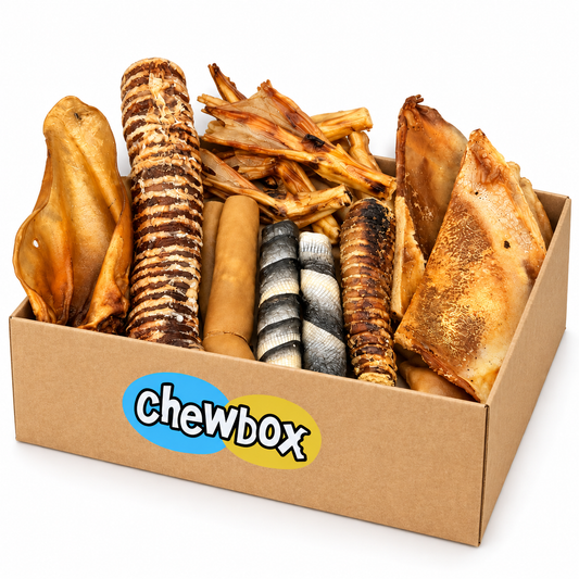 Joint & Mobility Chewbox