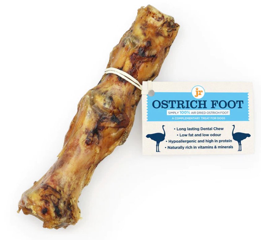 Ostrich Foot n white background