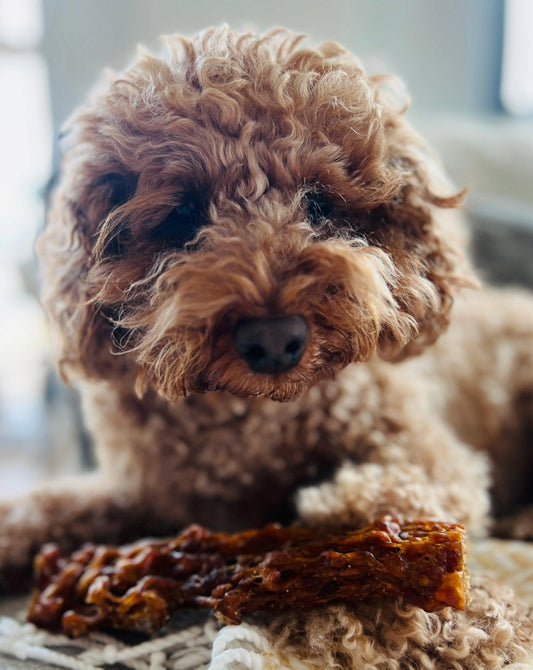 Pizzle / Bully Stick Fillet - Chewbox Natural Dog Chew - Grain & Gluten Free