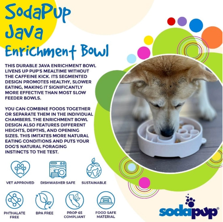 Advertisement for Sodapup Java Enrichment Bowl with a dog drinking from it, colorful text, and product features listed.