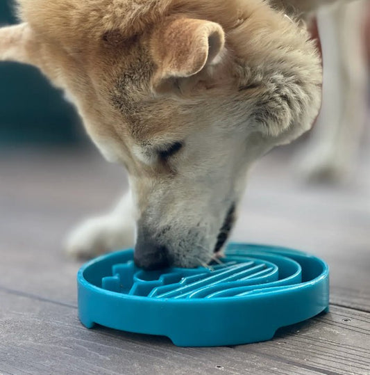 SodaPup Baja Design - Shallow Slow Feeder - Chewbox Natural Dog Chew - Grain & Gluten Free