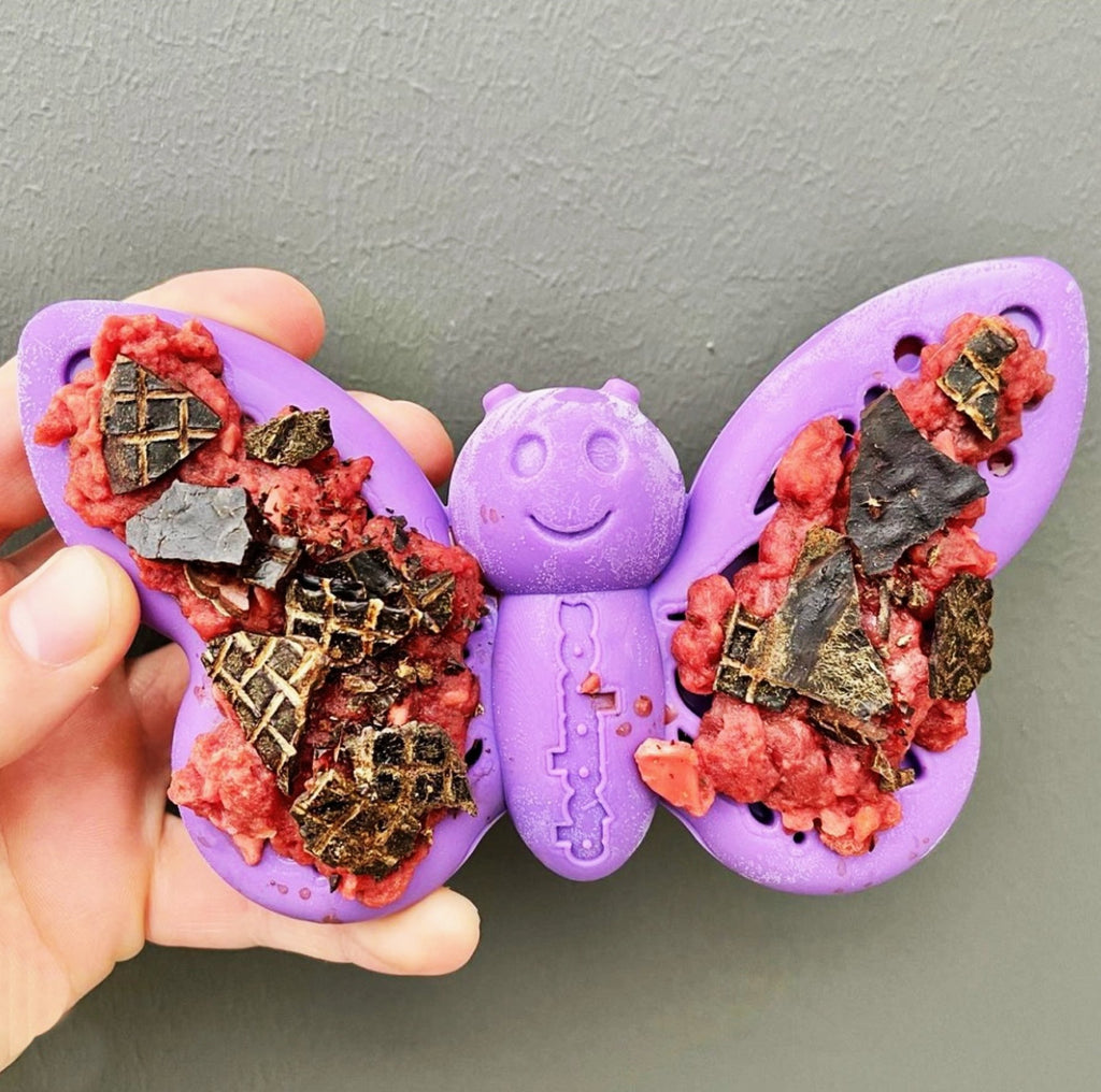 SodaPup Butterfly Nylon Chew & Enrichment Toy - Shallow Feeder - Dogs Go Shop Natural Dog Chew - Grain & Gluten Free