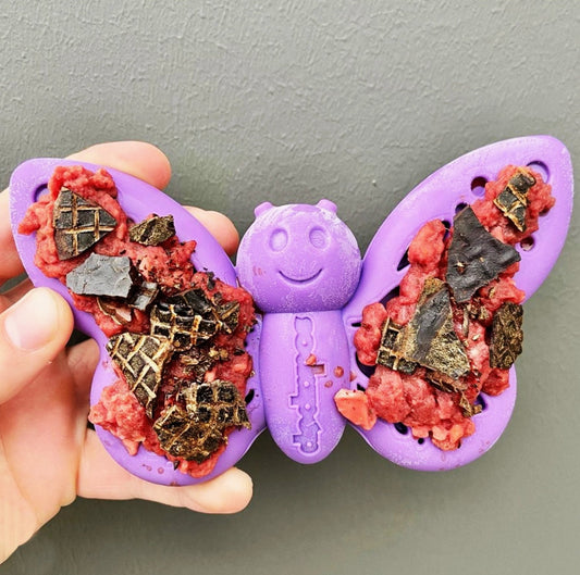SodaPup Butterfly Nylon Chew & Enrichment Toy - Shallow Feeder - Chewbox Natural Dog Chew - Grain & Gluten Free