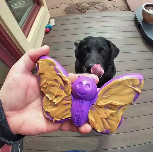 SodaPup Butterfly Nylon Chew & Enrichment Toy - Shallow Feeder - Chewbox Natural Dog Chew - Grain & Gluten Free
