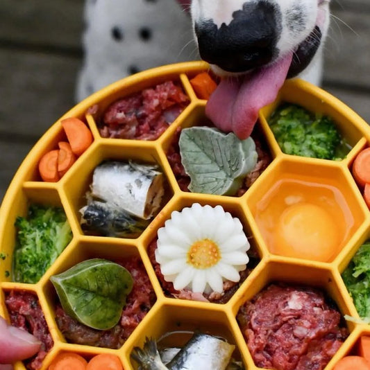 SodaPup Honeycomb Design - Deep Slow Feeder - Chewbox Natural Dog Chew - Grain & Gluten Free