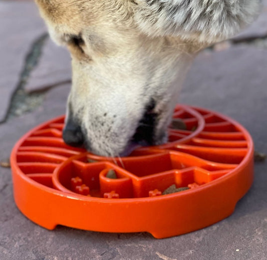 SodaPup Yin Yan Design - Shallow Slow Feeder - Chewbox Natural Dog Chew - Grain & Gluten Free