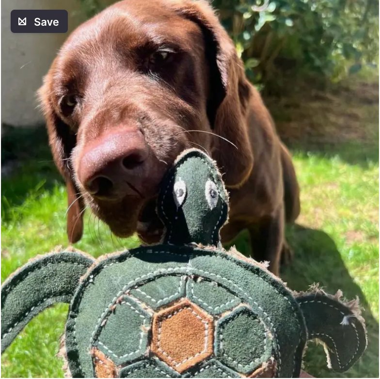 Tara Turtle - Eco Leather Dog Toy - Chewbox Natural Dog Chew - Grain & Gluten Free