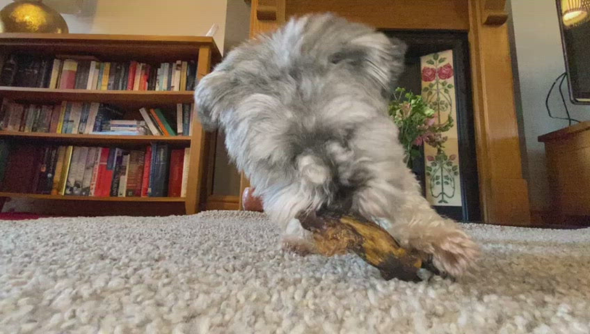 Lamb Lung - Dogs Go Shop Natural Dog Chew - product video