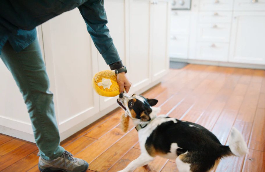 Barking Brunch Chicken & Woofles Plush Dog Toy - Chewbox Natural Dog Chew - Grain & Gluten Free