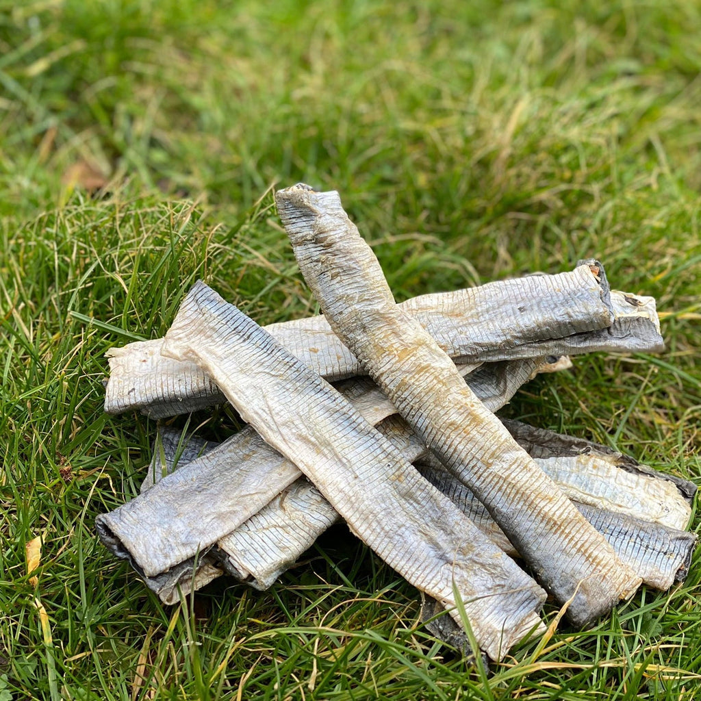 Basa Fish Flatties - Dogs Go Shop Natural Dog Chew - Grain & Gluten Free