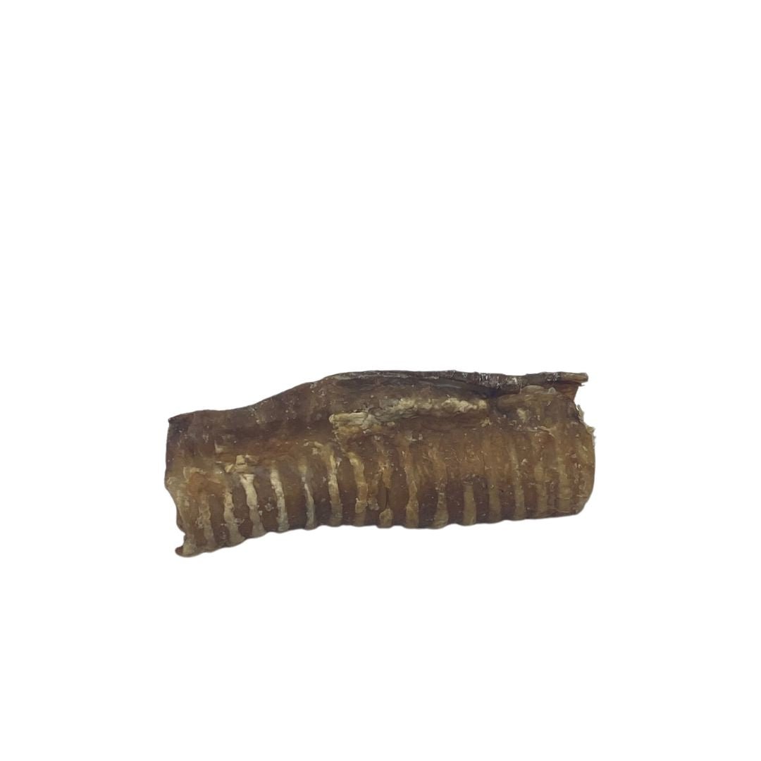 Beef Air Pipe / Trachea 12cm+ - Dogs Go Shop Natural Dog Chew - Grain & Gluten Free