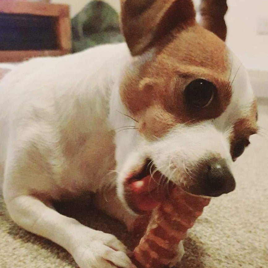 Beef Air Pipe / Trachea 12cm+ - Dogs Go Shop Natural Dog Chew - Grain & Gluten Free