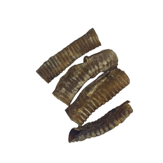 Beef Air Pipe / Trachea 12cm+ - Chewbox Natural Dog Chew - Grain & Gluten Free
