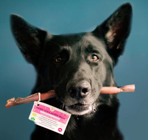 Beef Collagen Sticks 30cm - Dogs Go Shop Natural Dog Chew - Grain & Gluten Free