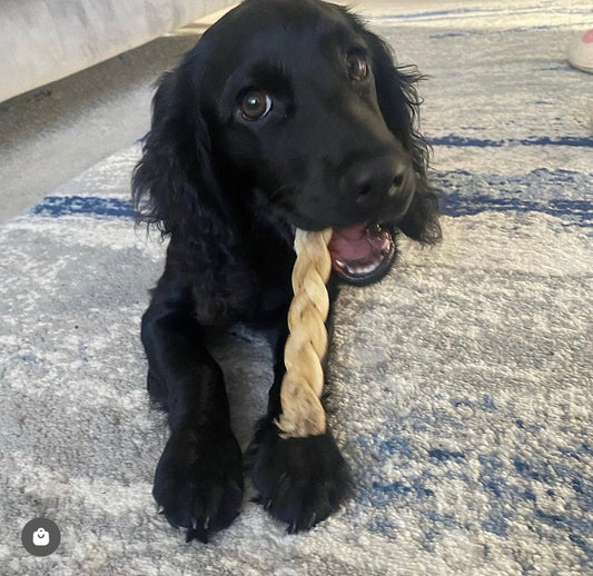 Beef Plaits - Chewbox Natural Dog Chew - Grain & Gluten Free