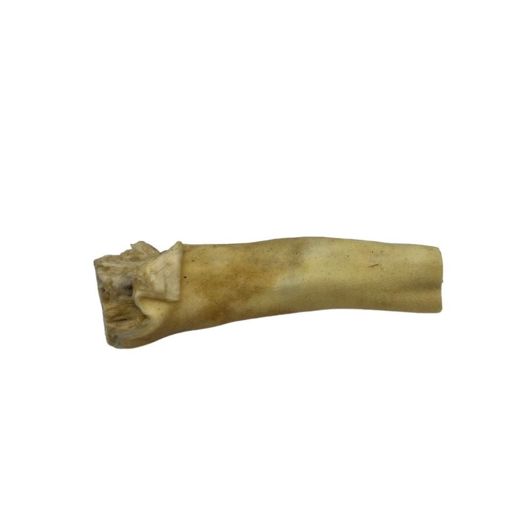 Beef Tails - XL & Standard - Chewbox Natural Dog Chew - Grain & Gluten Free