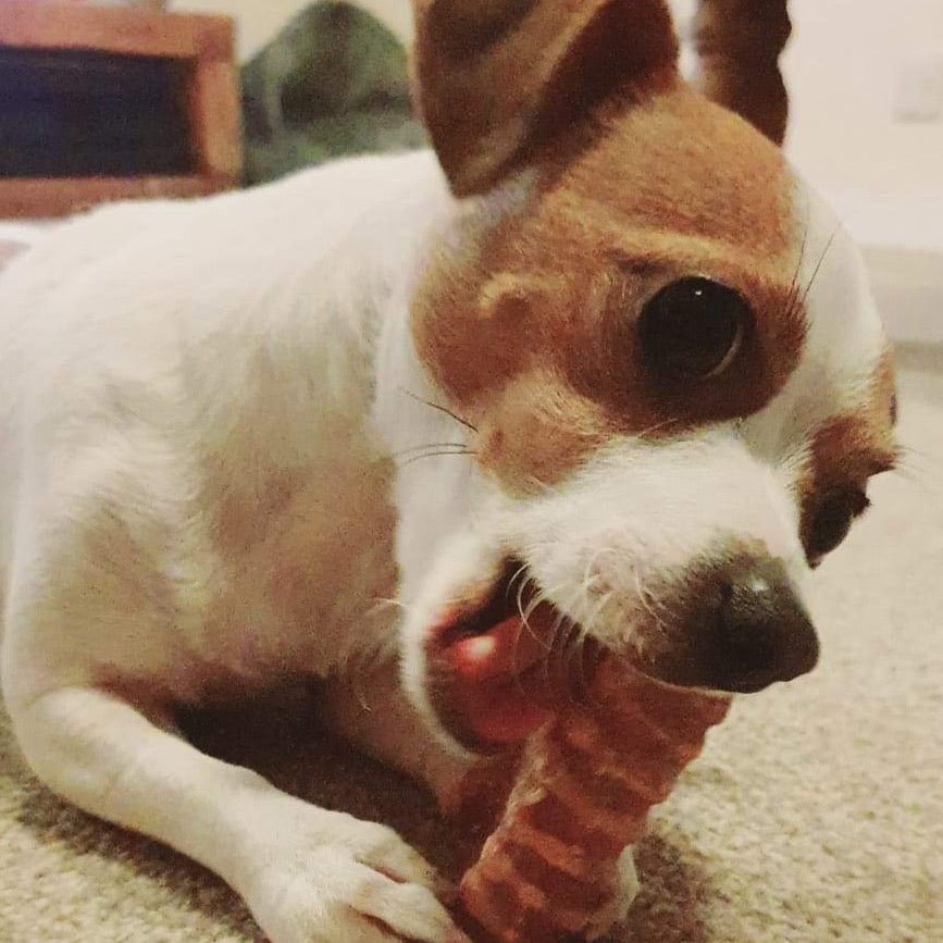 Beef Tracheas - Dogs Go Shop Natural Dog Chew - Grain & Gluten Free
