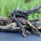 Beef Tripe Sticks - Dogs Go Shop Natural Dog Chew - Grain & Gluten Free