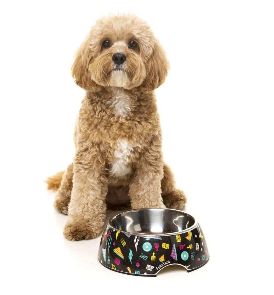 Bel Air Easy Feeder Pet Bowl - Chewbox Natural Dog Chew - Grain & Gluten Free