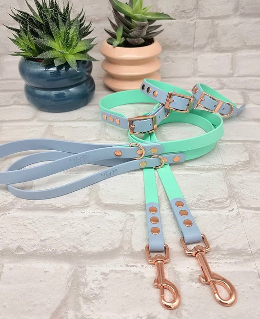 Biothane Collar & Lead Sets - Chewbox Natural Dog Chew - Grain & Gluten Free