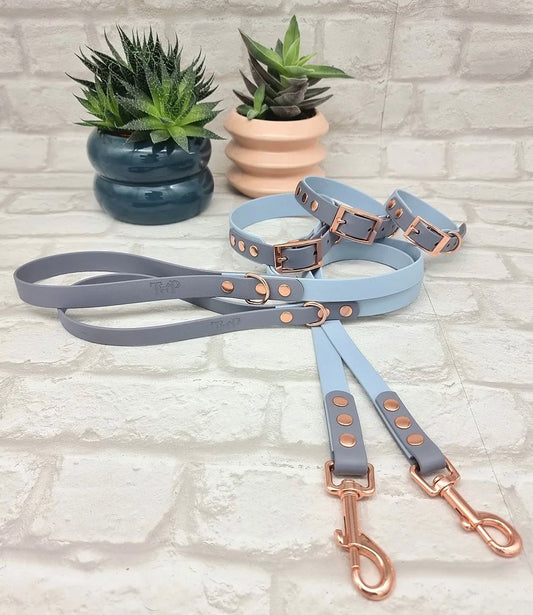 Biothane Collar & Lead Sets - Chewbox Natural Dog Chew - Grain & Gluten Free