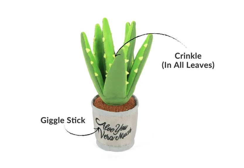 Blooming Buddies Aloe-ve You Plant - Chewbox Natural Dog Chew - Grain & Gluten Free