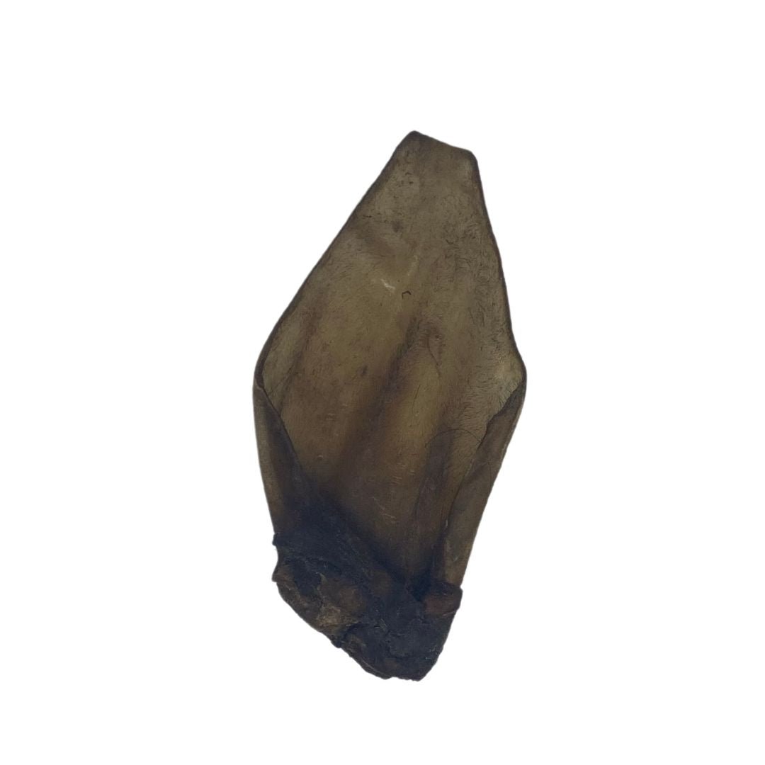 Buffalo Ears - Dogs Go Shop Natural Dog Chew - Grain & Gluten Free