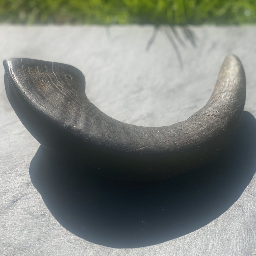 Buffalo Horns - Chewbox Natural Dog Chew - Grain & Gluten Free