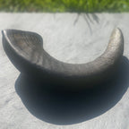 Buffalo Horns - Dogs Go Shop Natural Dog Chew - Grain & Gluten Free