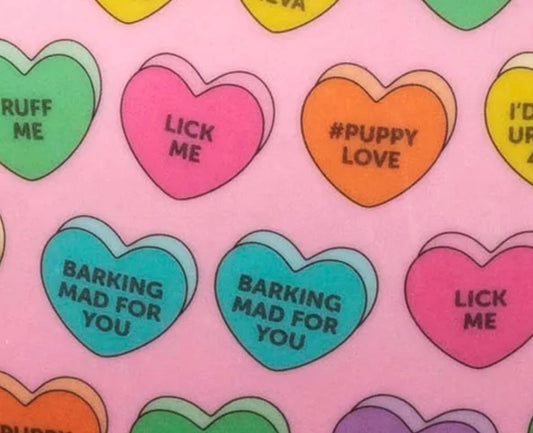 Candy Hearts Easy Feeder Pet Bowl - Chewbox Natural Dog Chew - Grain & Gluten Free