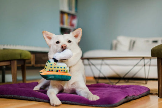 Canine Commute Ferry - Chewbox Natural Dog Chew - Grain & Gluten Free