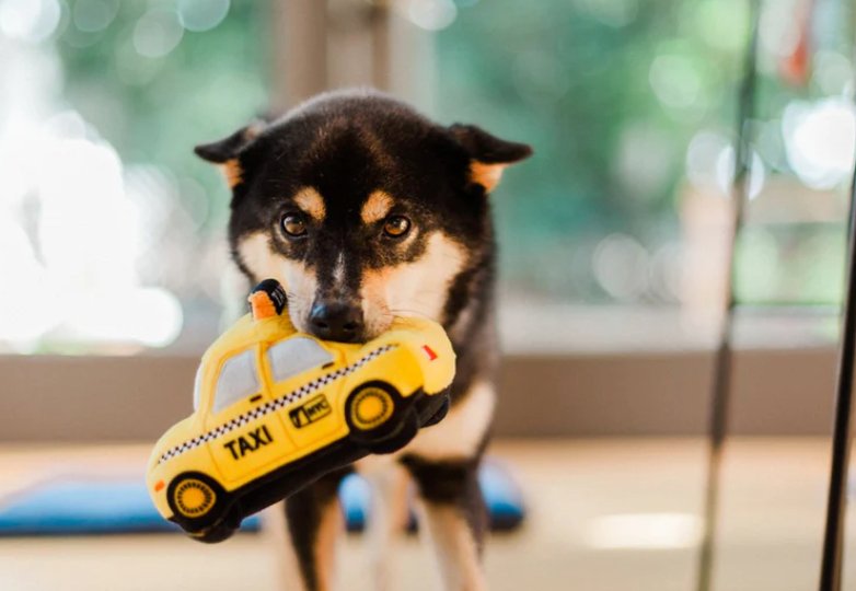 Canine Commute New Yap City Taxi - Chewbox Natural Dog Chew - Grain & Gluten Free