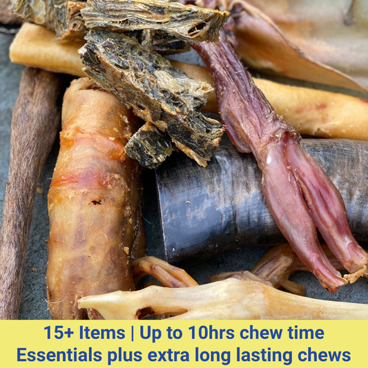 Puppy Chewbox Original - Chewbox Natural Dog Chew - Grain & Gluten Free