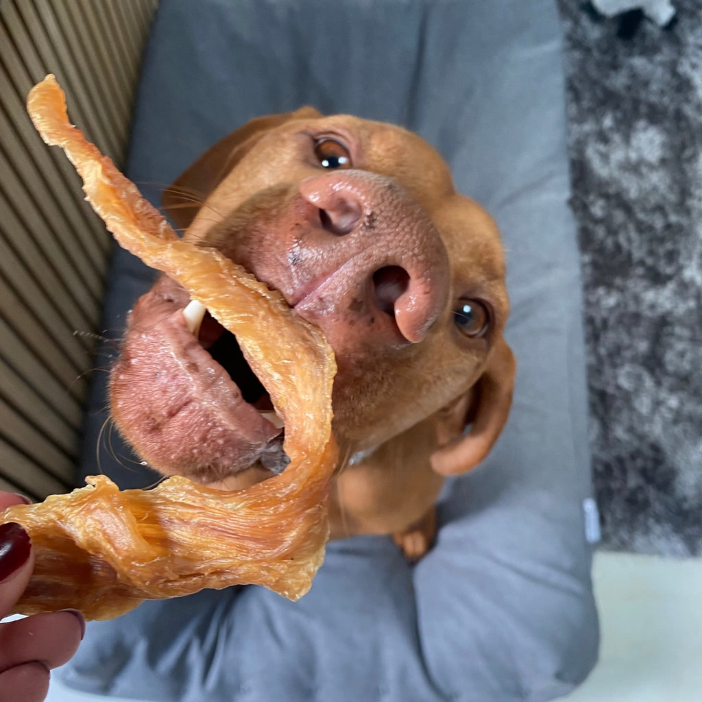 Chicken Breast Jerky - Dogs Go Shop Natural Dog Chew - Grain & Gluten Free