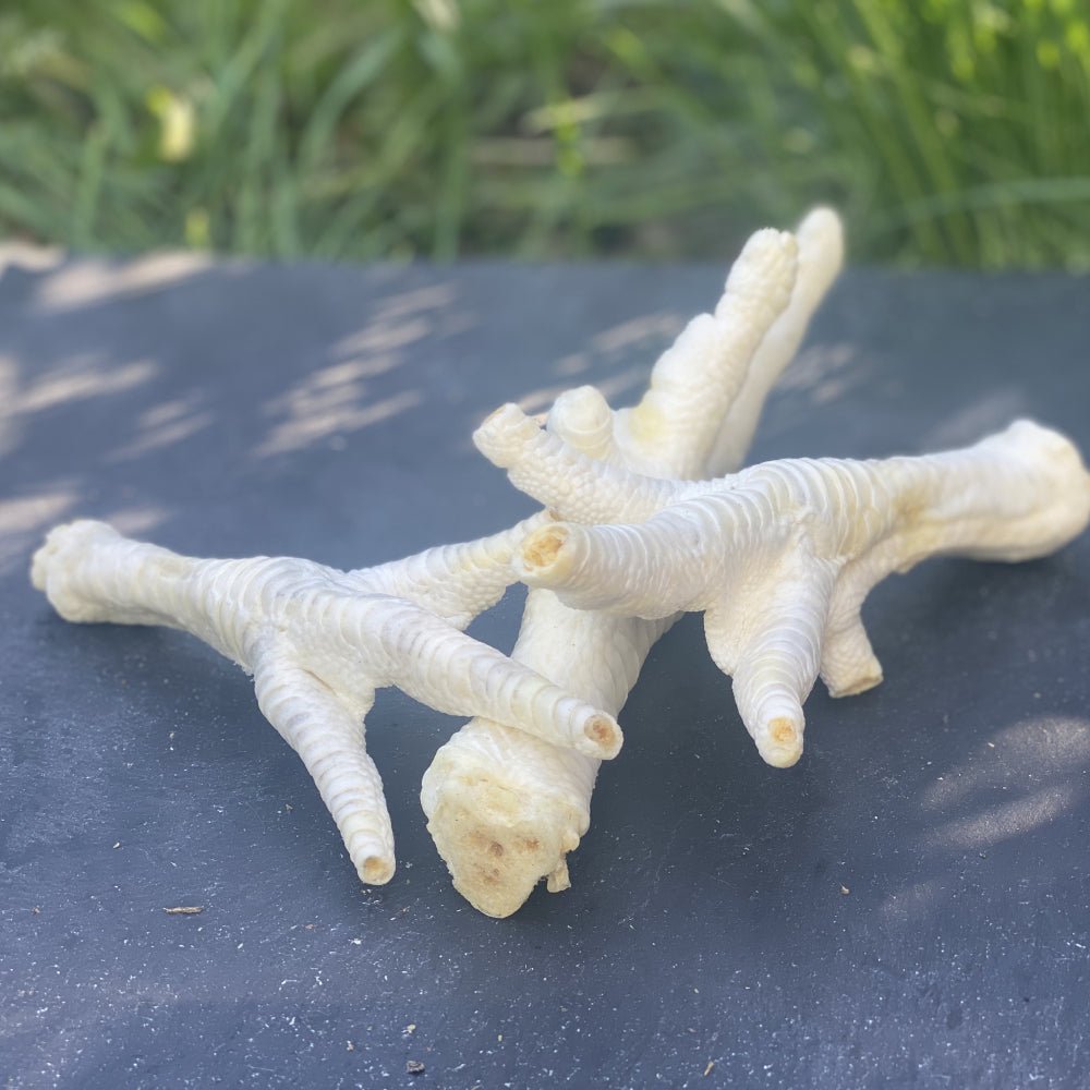 Puffed Chicken Feet - Dogs Go Shop Natural Dog Chew - Grain & Gluten Free